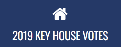 2019 Key House Votes